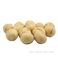 New Crop High Quality Shelled Raw Xin2 Walnuts